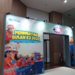 WhatsApp Image 2025-04-19 at 13.46.02